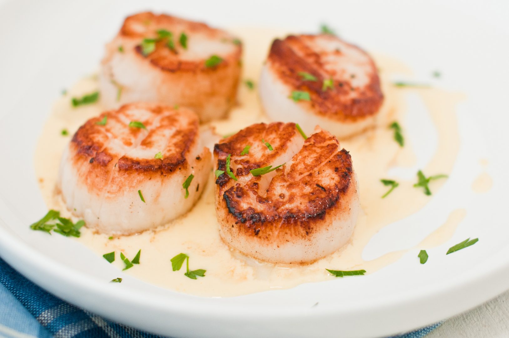 Scallops on a plate prepared by the dedicated chef at Cellar Z in Portland