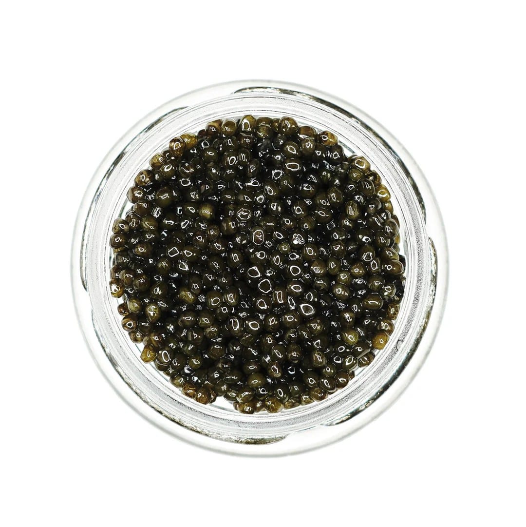 dynasty osetra caviar