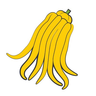 Buddahs_Hand