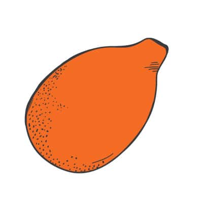 mandarinquat