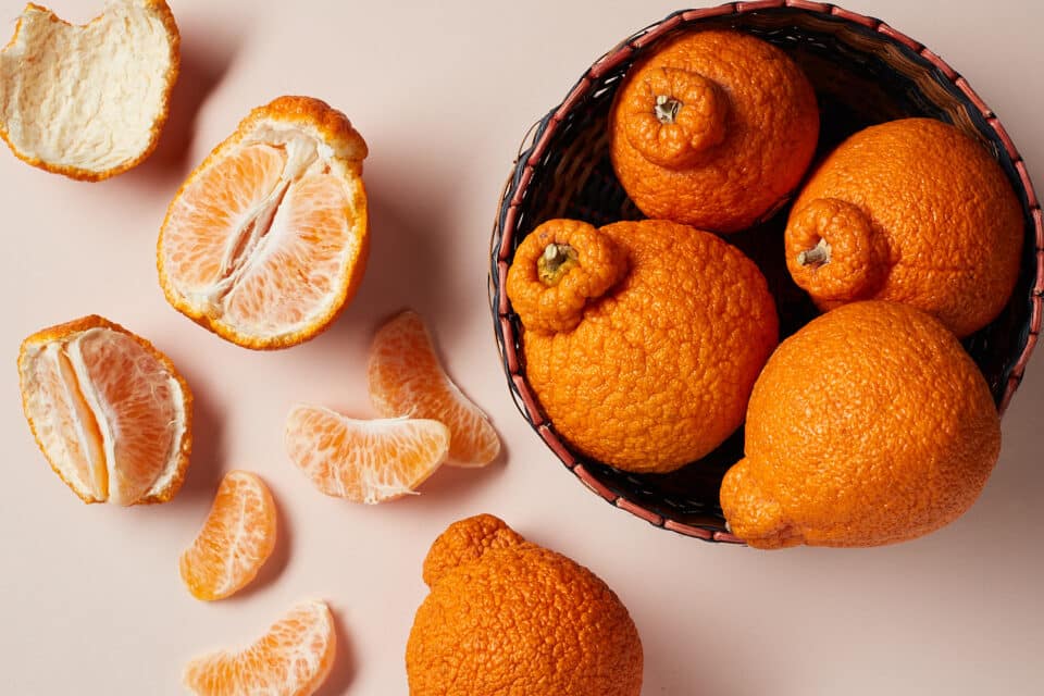 Dekopon Mandarins