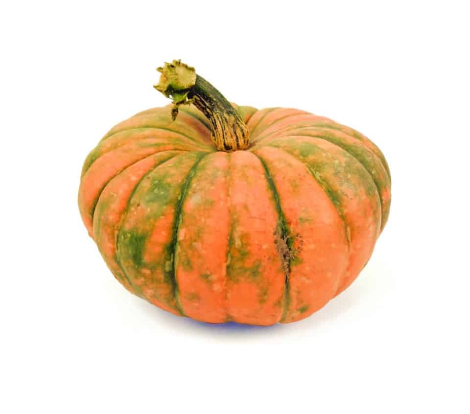 Speckled Hound Pumpkin at Zupan's Markets