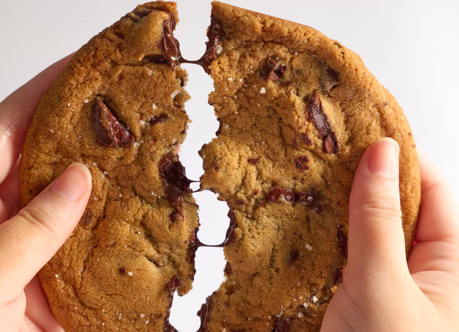 The Z cookie at Zupan's Markets