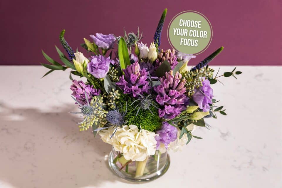 bouquet of flowers with a purple background